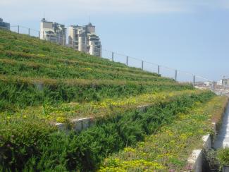 Richly planted pitched green roof 